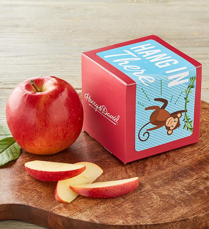"Hang in There" Single Apple Gift